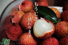 坐飛機(jī)能帶荔枝嗎？荔枝可以帶上飛機(jī)嗎？