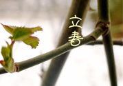 為什么春天容易生病？春天容易生什么?。?></a>
      <p class=