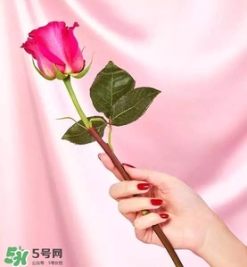 kate spade2017情人節(jié)包包多少錢？凱特絲蓓2017情人節(jié)包包哪里買？