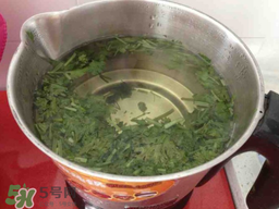 香菜煮水洗腎是真的嗎？香菜煮水洗腎是真的嗎