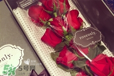 roseonly鮮花怎么保養(yǎng)？roseonly永生花怎么保養(yǎng)？