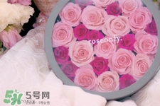 roseonly鮮花多少錢？roseonly永生花多少錢？
