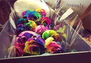 roseonly鮮花多少錢？roseonly永生花多少錢？