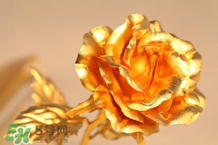 情人節(jié)可以送金玫瑰嗎？情人節(jié)送金玫瑰好嗎？