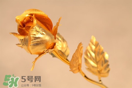 情人節(jié)可以送金玫瑰嗎？情人節(jié)送金玫瑰好嗎？