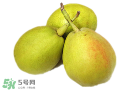 香梨多少錢一斤？香梨怎么挑選？