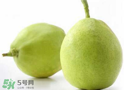 香梨多少錢一斤？香梨怎么挑選？