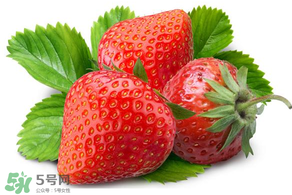 小孩多吃草莓好嗎？小孩可以摘草莓嗎？