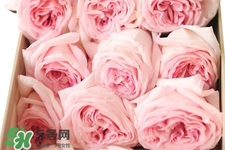 鮮花怎么養(yǎng)？鮮花怎么養(yǎng)放的比較久？