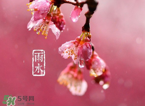 雨水吃什么？雨水節(jié)氣飲食禁忌？
