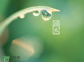 雨水吃什么？雨水節(jié)氣飲食禁忌？