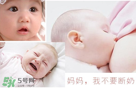 春天可以斷奶嗎？春天幾月份斷奶比較好？