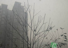 霧霾天開空調(diào)會不會污染室內(nèi)空氣？