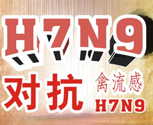 禽流感期間吃什么？預(yù)防禽流感吃什么好？