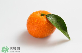 桔子批發(fā)多少錢一斤？桔子多少錢一斤？