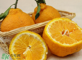 丑橘少錢一斤？丑橘一斤幾個？