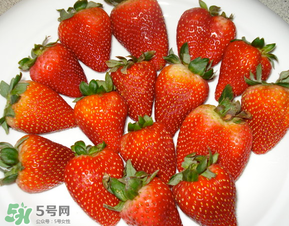 奶油草莓是什么品種？奶油草莓和巧克力草莓的區(qū)別 
