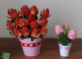 草莓花束怎么做？草莓花束怎么扎起來？