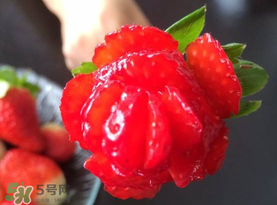草莓花束怎么做？草莓花束怎么扎起來？