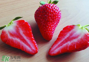九九草莓多少錢一斤？99草莓價(jià)格是多少？