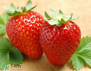 九九草莓好嗎？九九草莓和牛奶草莓區(qū)別 
