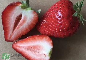 草莓空心能吃嗎？草莓空心怎么回事？