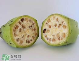 野香蕉可以吃嗎？野香蕉怎么吃？