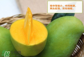青芒果硬的能吃嗎？青芒果沒熟能吃嗎？