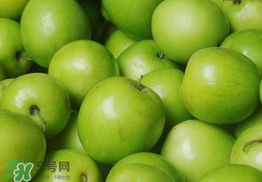 青棗是熱性還是涼性？青棗是涼性的嗎？