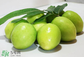 青棗什么時(shí)候上市？青棗什么時(shí)候成熟？