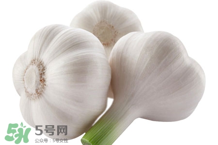 大蒜可以預(yù)防禽流感嗎？預(yù)防禽流感能吃大蒜嗎？