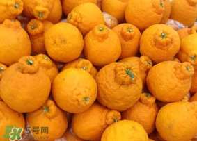 丑橘是轉(zhuǎn)基因嗎？丑八怪是轉(zhuǎn)基因的嗎？