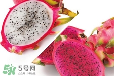 3月份有火龍果吃嗎？三月份可以吃火龍果嗎？