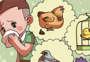 如何區(qū)分感冒和禽流感？禽流感和感冒的區(qū)別