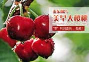 美早和黑珍珠哪個好吃？美早和黑珍珠的區(qū)別