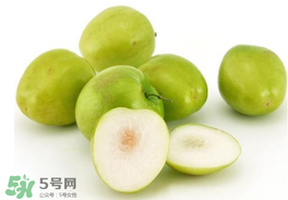 青棗可以泡酒嗎？青棗泡酒喝有什么好處？