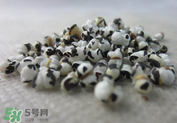 穿山甲下奶怎么吃？穿山甲下奶效果好嗎？