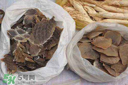 穿山甲下奶怎么吃？穿山甲下奶效果好嗎？