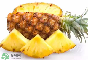 菠蘿批發(fā)多少錢(qián)一斤？菠蘿批發(fā)價(jià)格