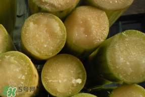 甘蔗要洗嗎？吃甘蔗時要用鹽水洗嗎？