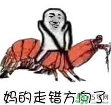 說人皮皮蝦是什么意思？女生叫男生皮皮蝦什么意思？