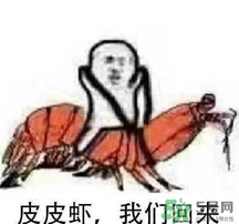 說人皮皮蝦是什么意思？女生叫男生皮皮蝦什么意思？
