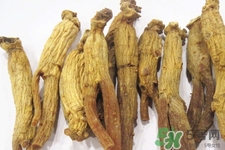 高麗參適合什么人吃？什么人不能吃高麗參？