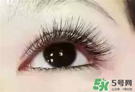 孕睫術(shù)是什么？孕睫術(shù)有用嗎？