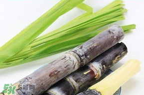 甘蔗發(fā)霉能吃嗎？吃了發(fā)霉的甘蔗怎么辦？