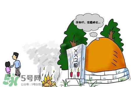 清明節(jié)掃墓用什么花？清明節(jié)上墳帶什么花？