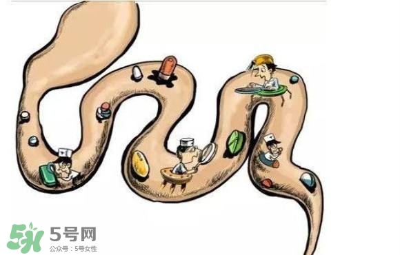 便秘吃什么藥好？便秘吃什么藥最快排便？