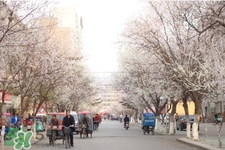 倒春寒是一種什么冷？倒春寒為什么會冷？
