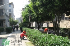 倒春寒如何養(yǎng)生？倒春寒養(yǎng)生需注意五點