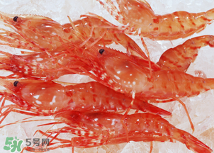 蝦凍了一年還能吃嗎？蝦凍了半年還能吃嗎？